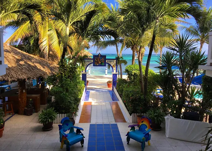 Blue Tang Inn - Beachfront Suites And Pool